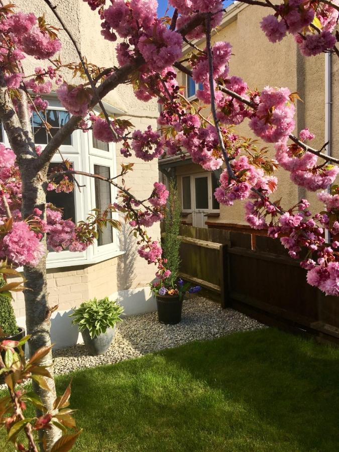 본머스 Cherry Tree House B&B 외부 사진